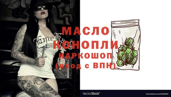 твердый Инсар