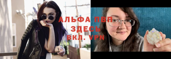 амф Коряжма
