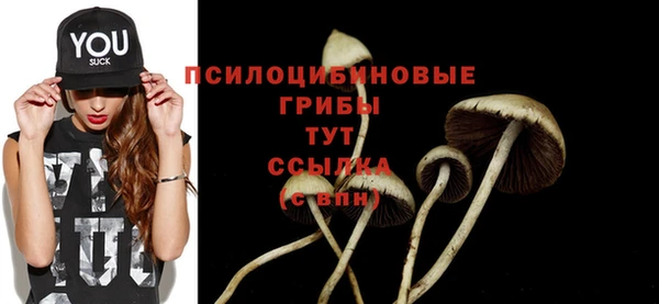 хмурый Алзамай