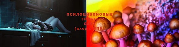 хмурый Алзамай