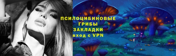 хмурый Алзамай