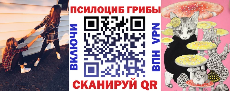 хочу Сосновый Бор Галлюциногенные грибы MAGIC MUSHROOMS