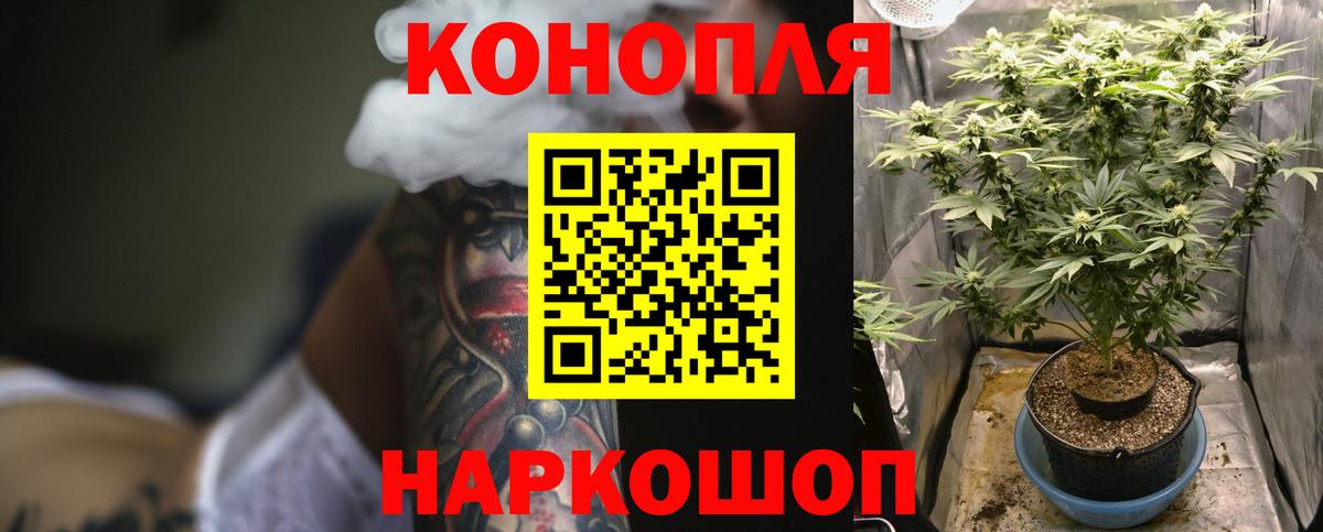 Сосновый Бор  Шишки марихуана планчик  Вход с VPN  Марихуана сатива  Бошки марихуана Ganja 
